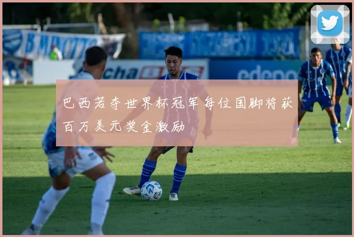 巴西若夺世界杯冠军每位国脚将获百万美元奖金激励